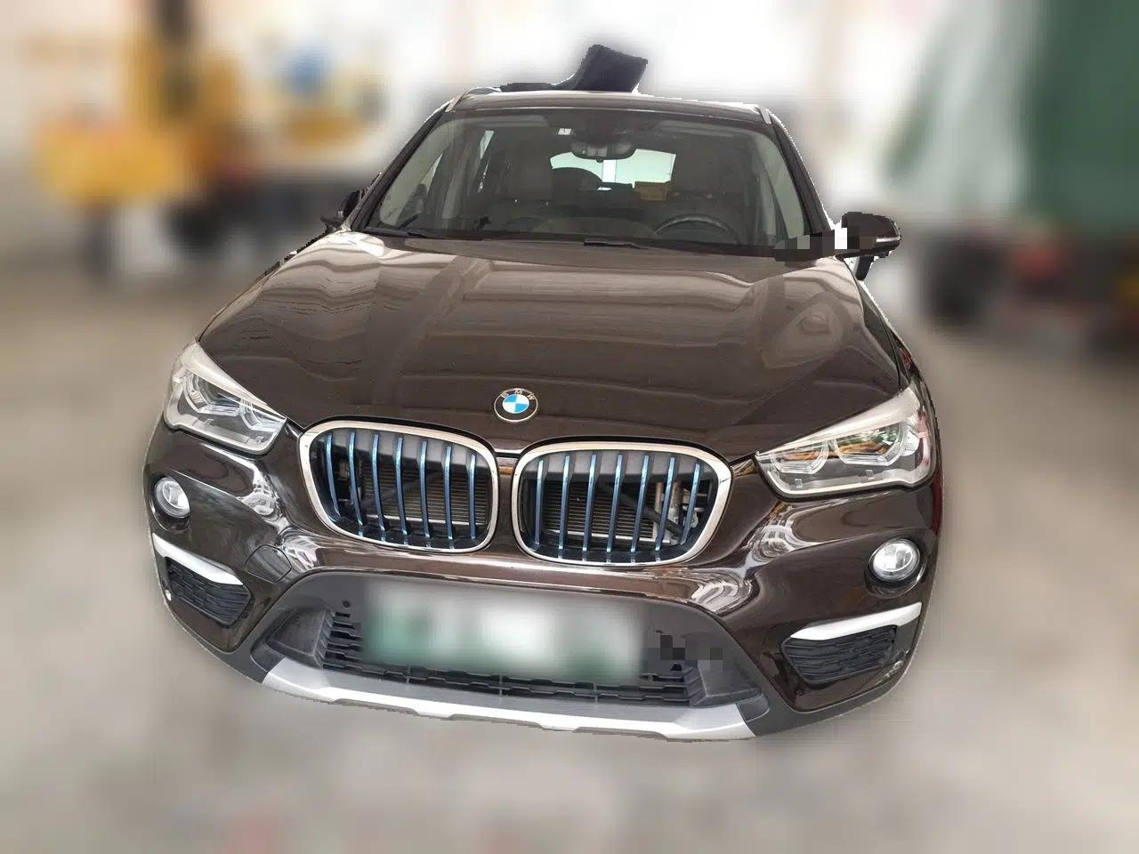 BMW X1 New Energy 2018 xDrive25Le Luxury Model — миниатюра 2