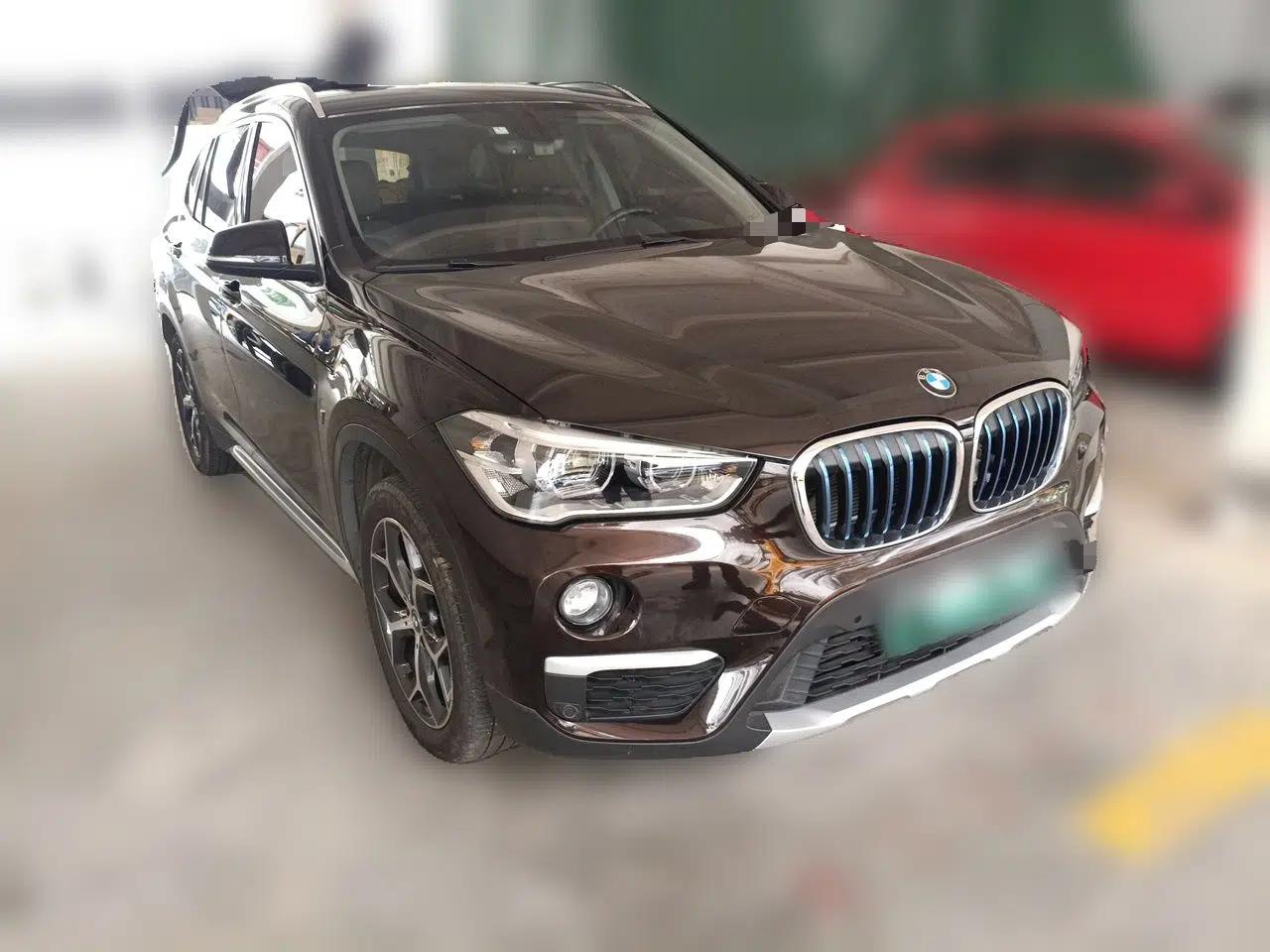 BMW X1 New Energy 2018 xDrive25Le Luxury Model — миниатюра 3