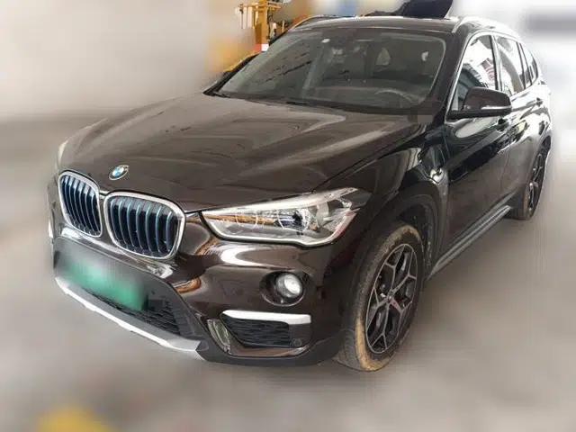 BMW X1 New Energy 2018 xDrive25Le Luxury Model