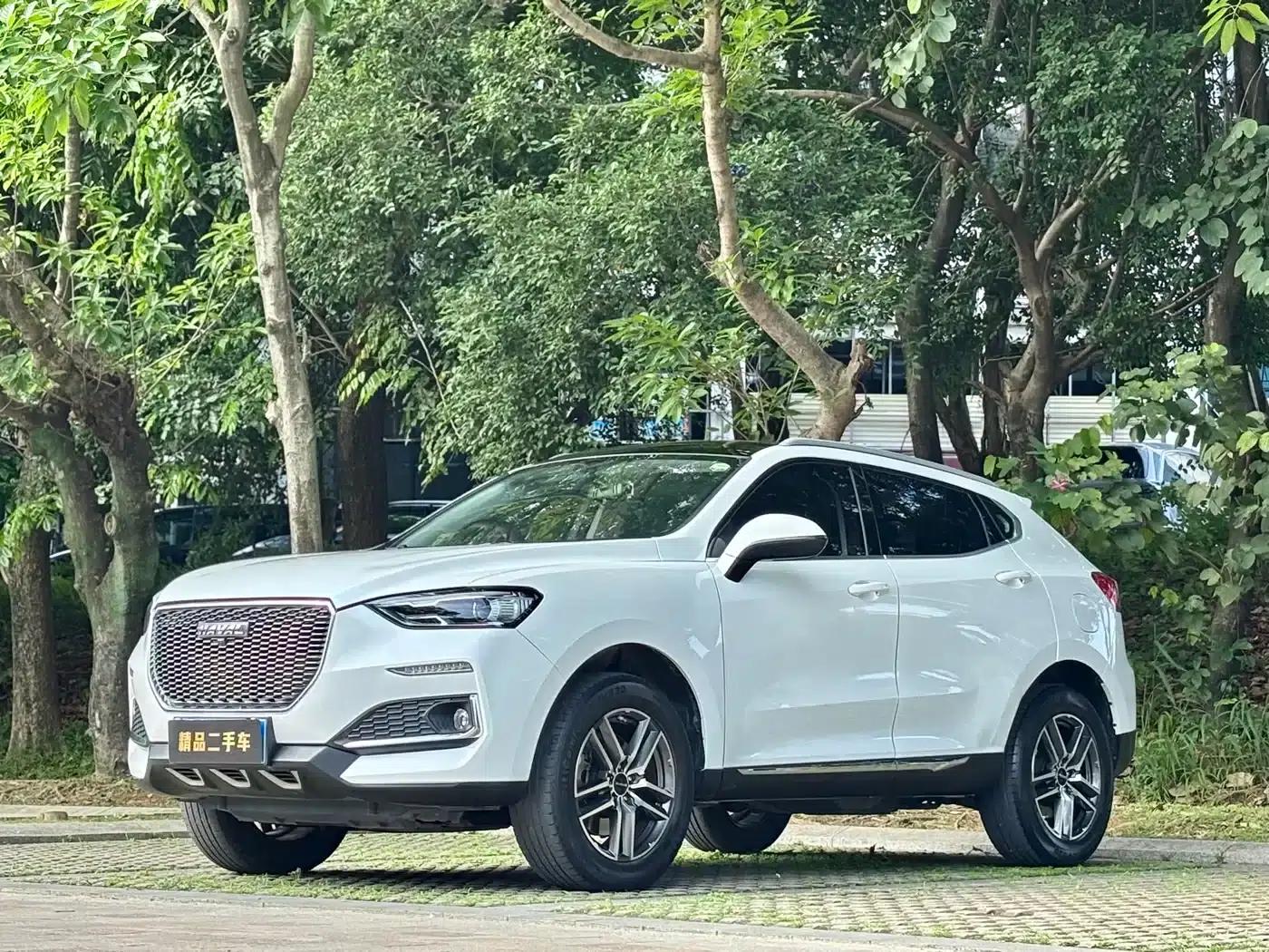 Haval F5 2019 National Trend Edition 1.5T i-type National VI — миниатюра 1