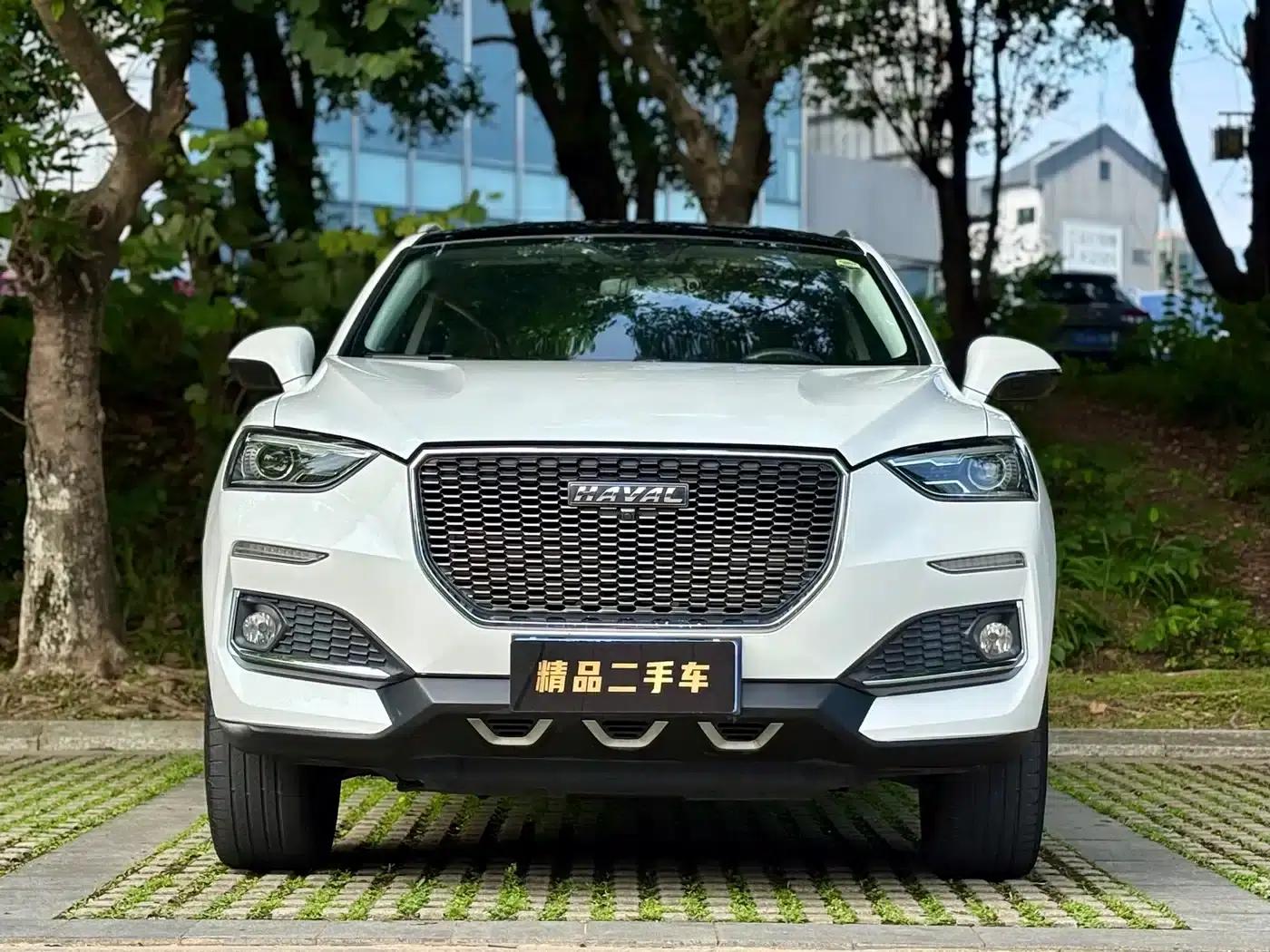 Haval F5 2019 National Trend Edition 1.5T i-type National VI — миниатюра 2