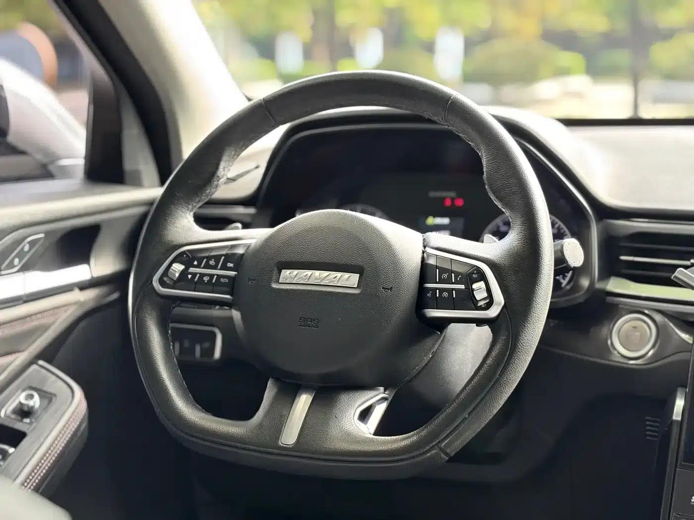 Haval F5 2019 National Trend Edition 1.5T i-type National VI — миниатюра 15