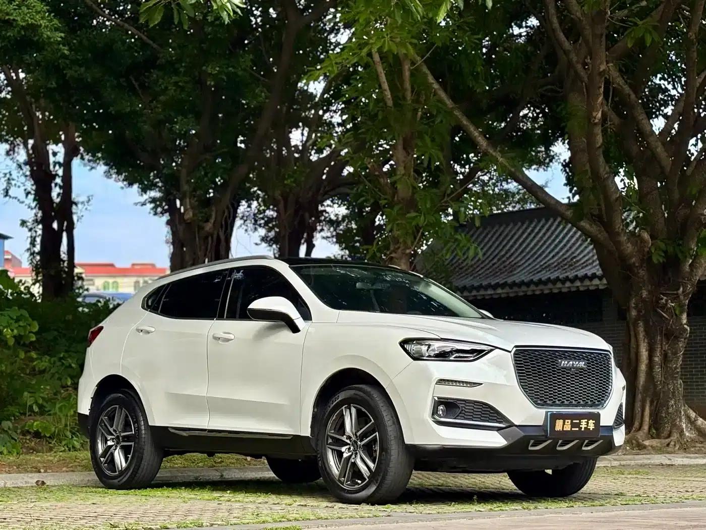 Haval F5 2019 National Trend Edition 1.5T i-type National VI — миниатюра 3