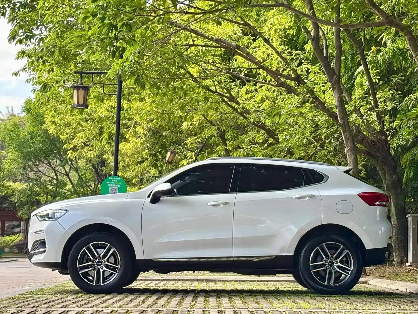Haval F5 2019 National Trend Edition 1.5T i-type National VI — миниатюра 4