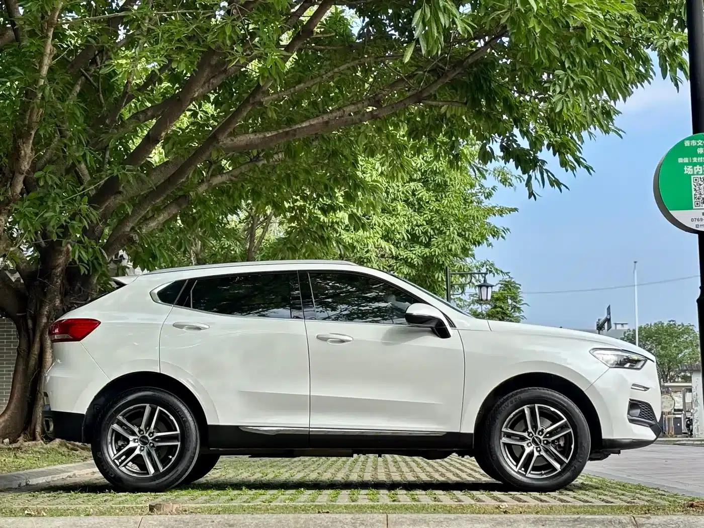 Haval F5 2019 National Trend Edition 1.5T i-type National VI — миниатюра 5