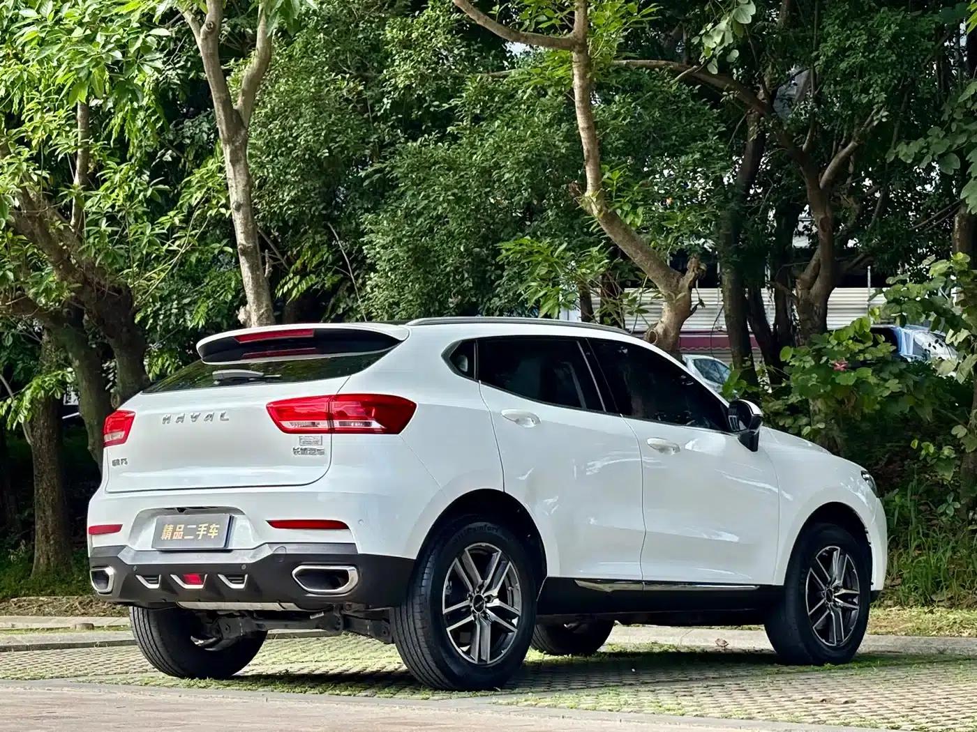 Haval F5 2019 National Trend Edition 1.5T i-type National VI — миниатюра 6