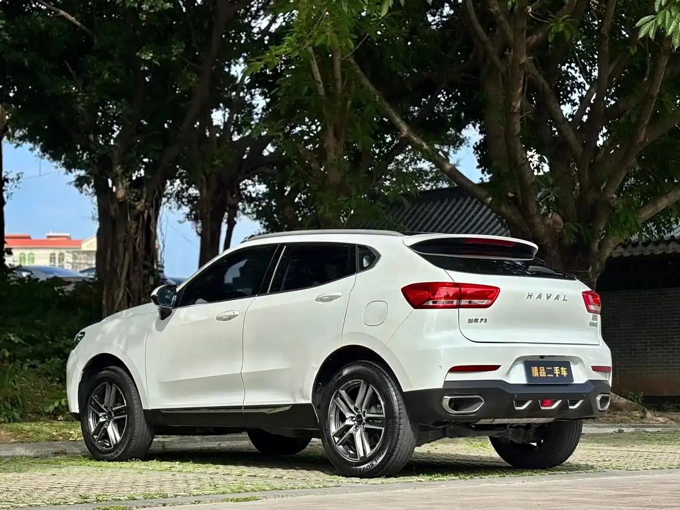 Haval F5 2019 National Trend Edition 1.5T i-type National VI — миниатюра 8