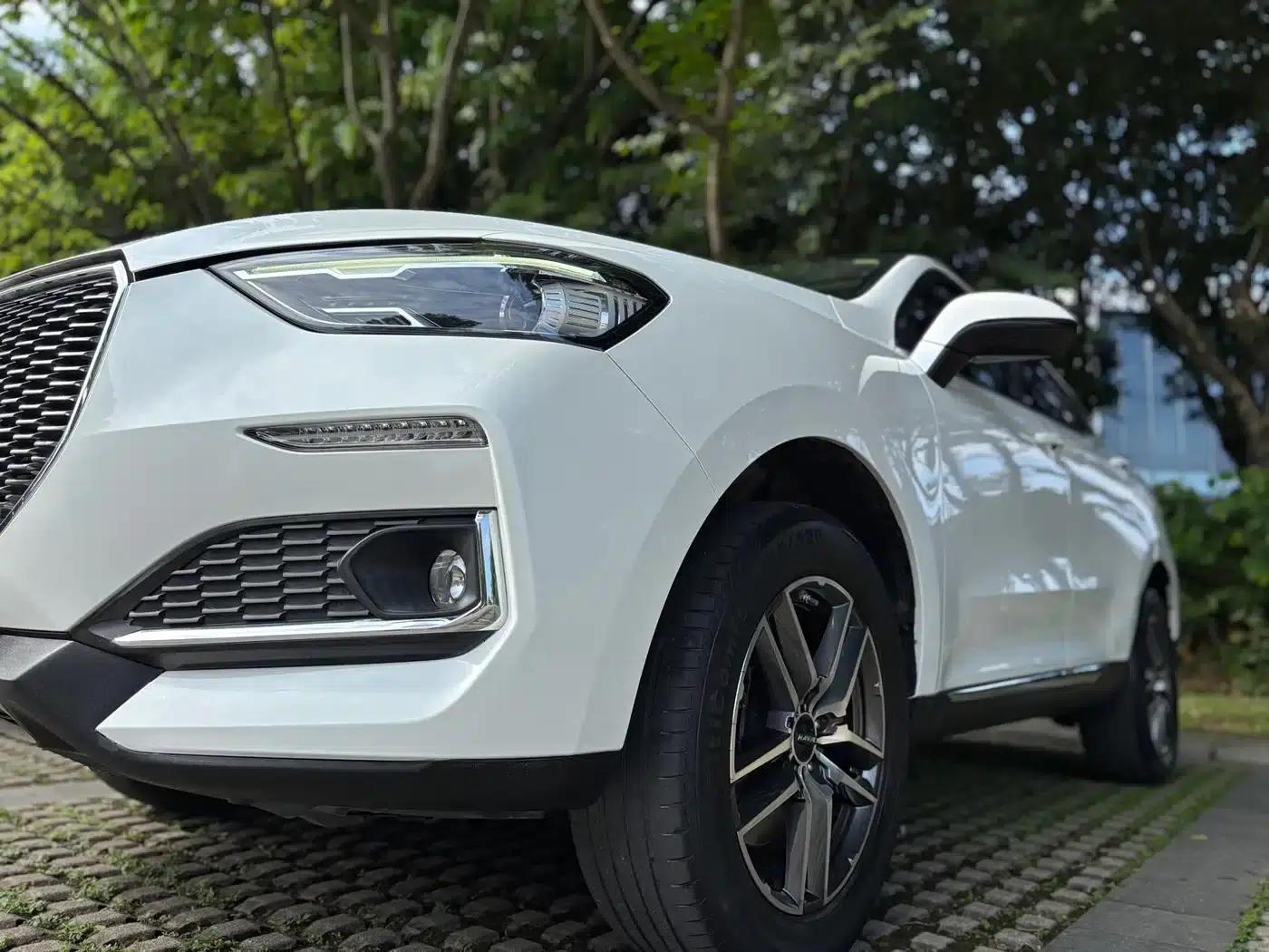 Haval F5 2019 National Trend Edition 1.5T i-type National VI — миниатюра 9