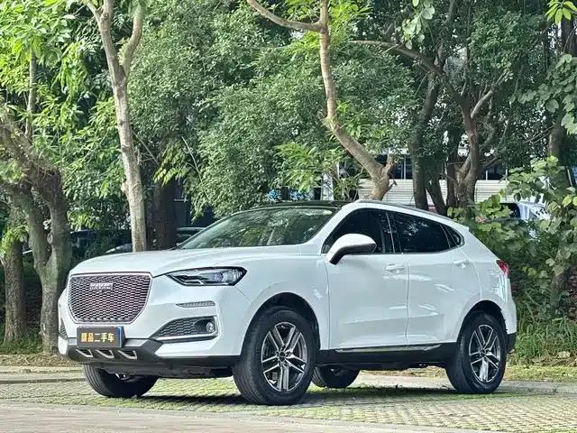 Haval F5 2019 National Trend Edition 1.5T i-type National VI