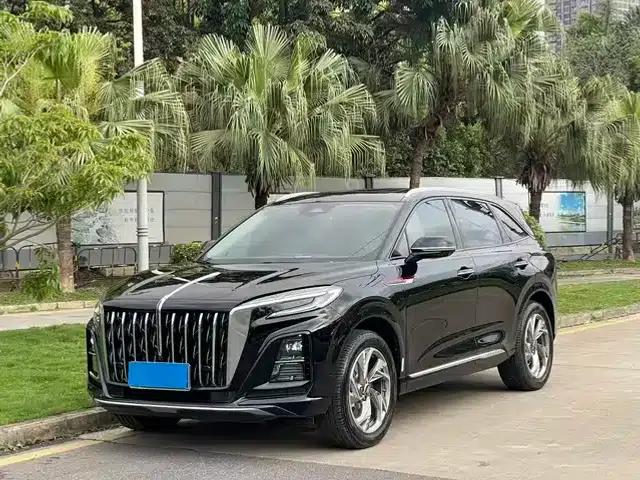 Hongqi HS3 2024 2.0T (Caiwei Edition)