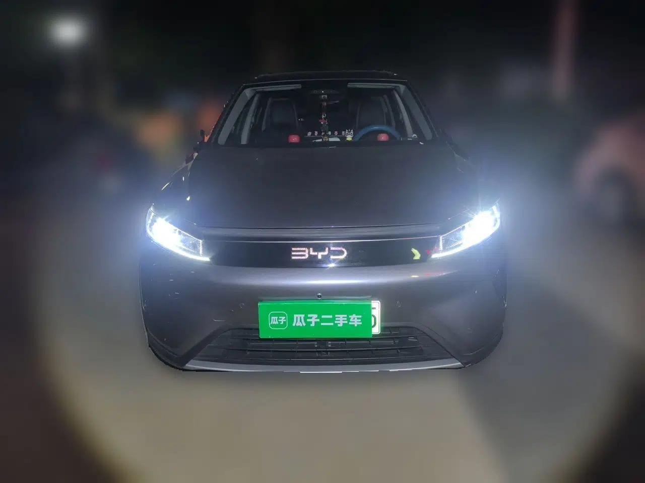 BYD Sealion 05 DM-i 2025 DM-i Intelligent Driving 75KM Prestige Model — миниатюра 2