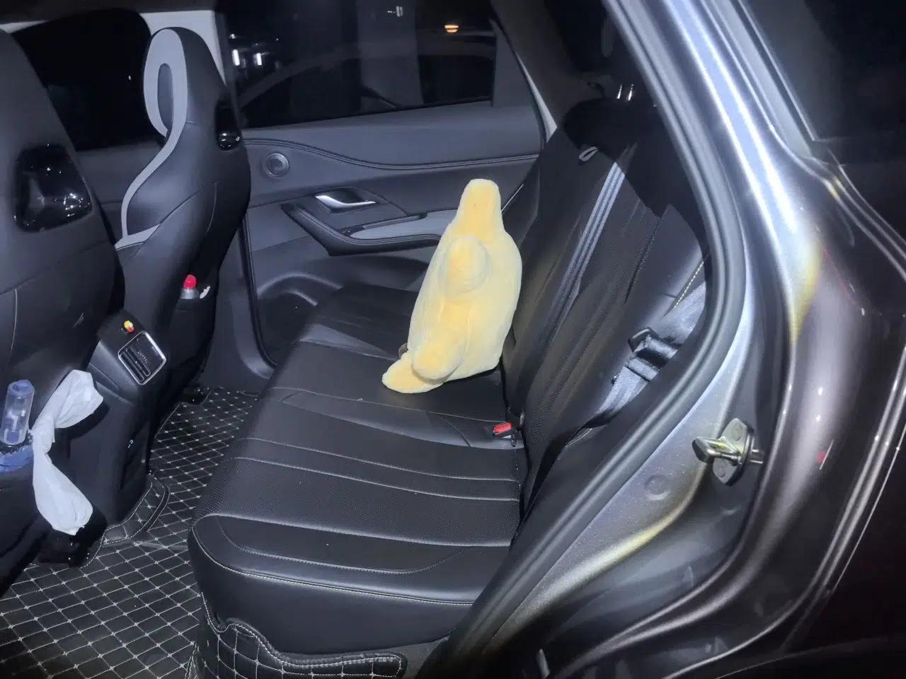 BYD Sealion 05 DM-i 2025 DM-i Intelligent Driving 75KM Prestige Model — миниатюра 18