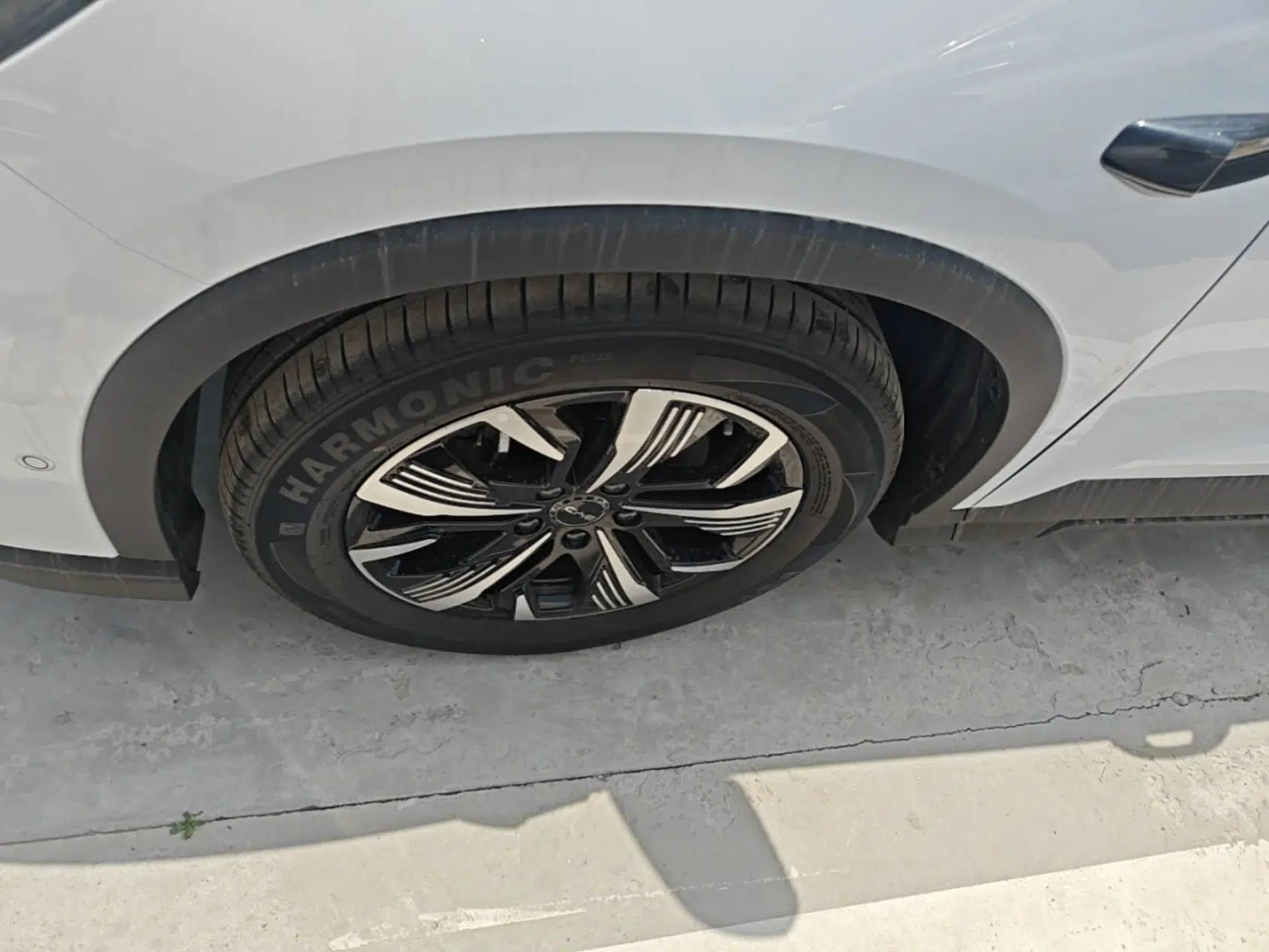 BYD Sealion 05 DM-i 2025 DM-i Intelligent Driving 75KM Prestige Model — миниатюра 8