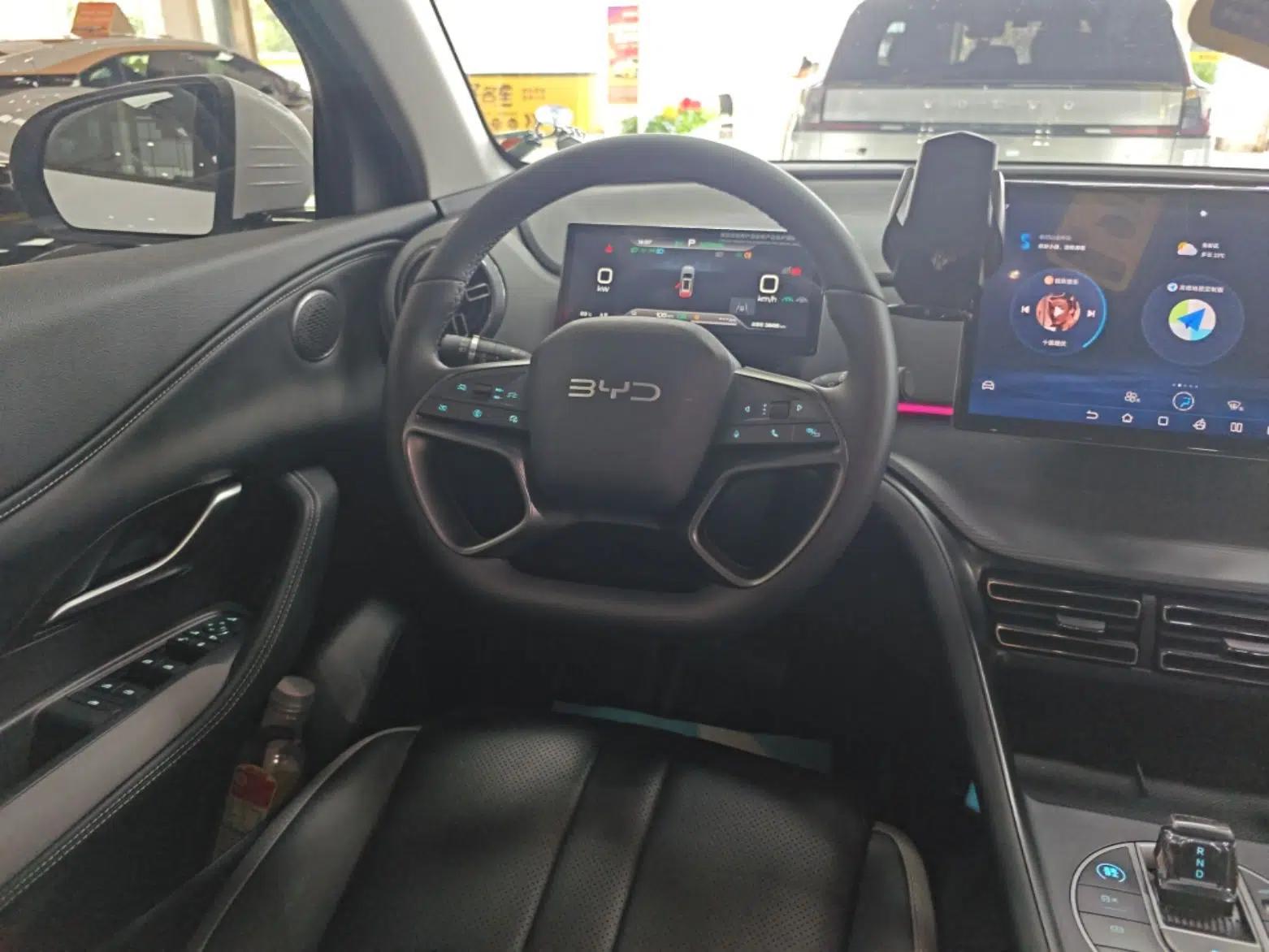 BYD Sealion 05 DM-i 2025 DM-i 115KM Prestige Model — миниатюра 13