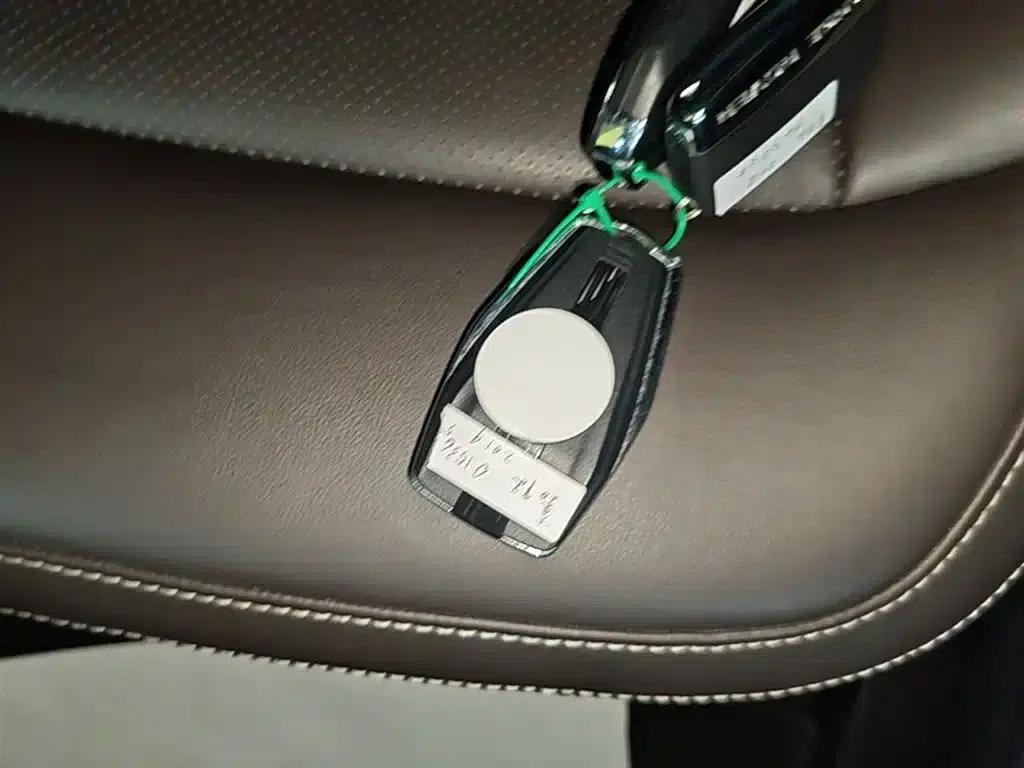 Jiaji New Energy 2019 1.5TD PHEV Premium Edition — миниатюра 9