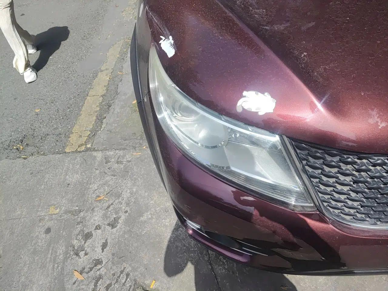 FORTHING Joyear X3 2015 1.5L Comfort Model — миниатюра 7