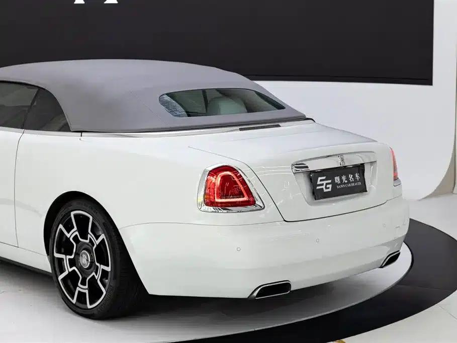 2018 Dawn 6.6T Standard Edition — миниатюра 18