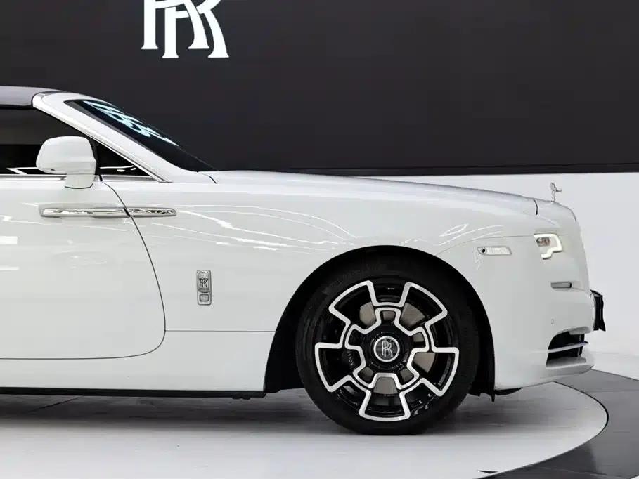 2018 Dawn 6.6T Standard Edition — миниатюра 20