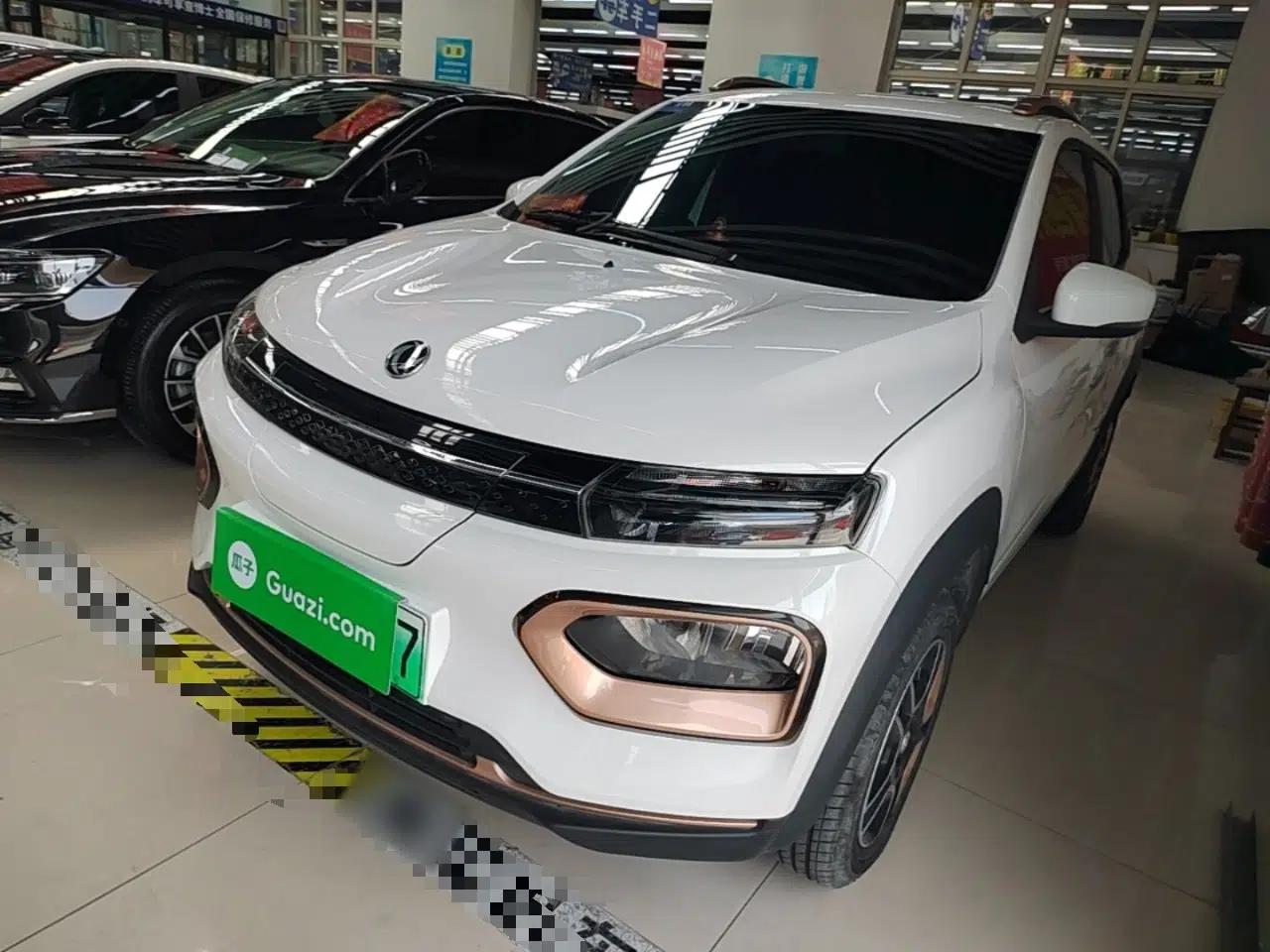 Dongfeng NAMMI BOX 2022 Revised Light Wind Edition 201 km Standard Version — миниатюра 1