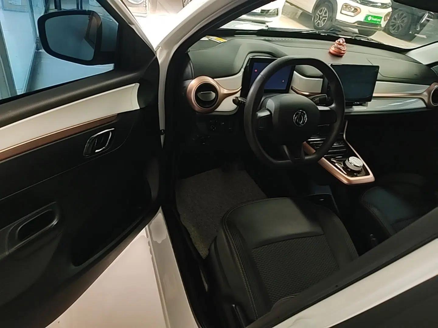 Dongfeng NAMMI BOX 2022 Revised Light Wind Edition 201 km Standard Version — миниатюра 19
