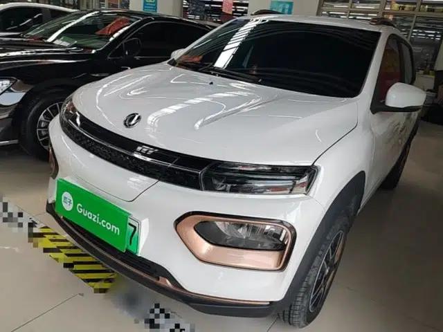 Dongfeng NAMMI BOX 2022 Revised Light Wind Edition 201 km Standard Version
