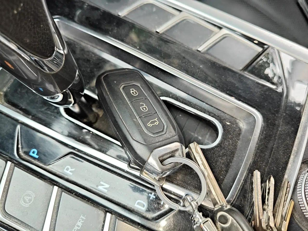 Ford Territory 2020 Lingjie S EcoBoost 145 CVT Platinum Edition — миниатюра 9