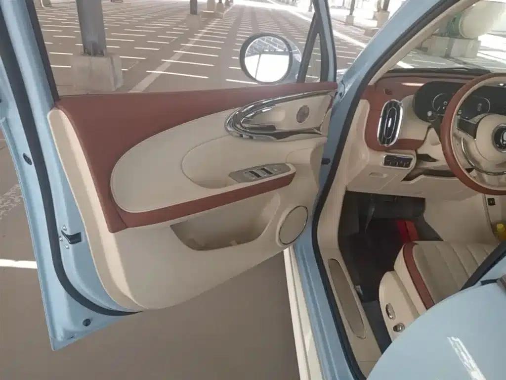 Euler Ballet Cat 2022 Model 401km Alice Edition — миниатюра 16