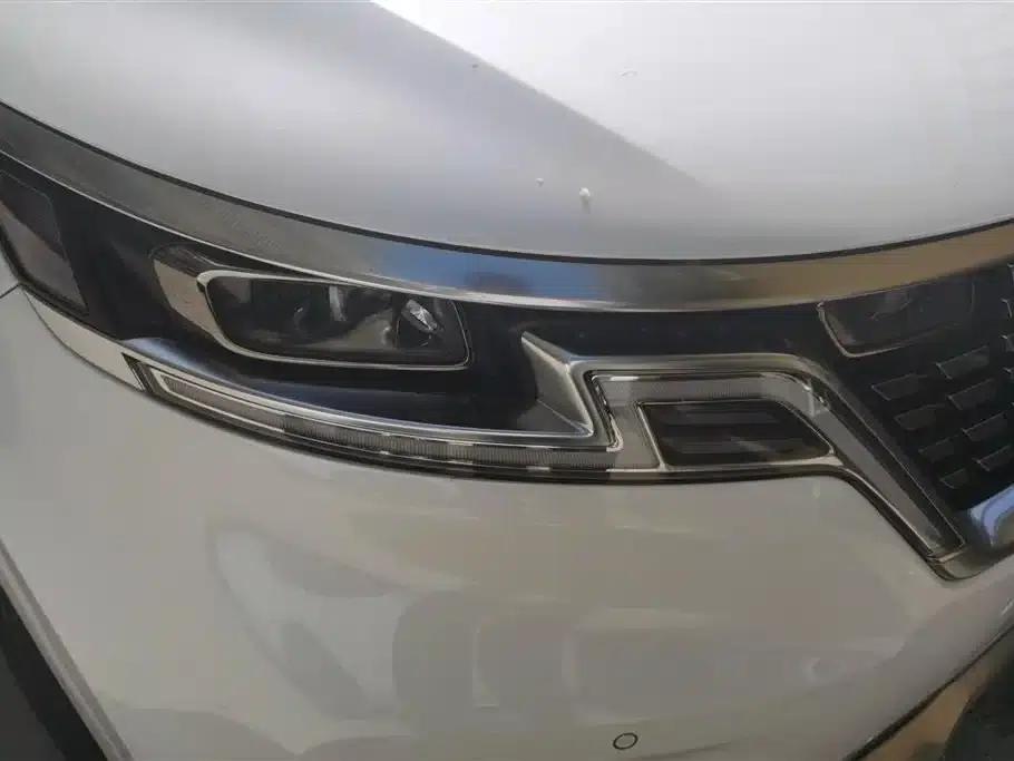 Carnival 2021 2.0T Flagship Edition — миниатюра 5