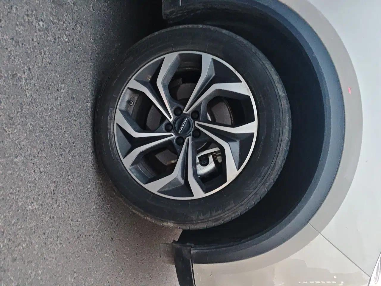 Haval Fierce Dragon Max 2023 1.5L Hi4 105 Four-Wheel Drive Navigation Edition — миниатюра 8