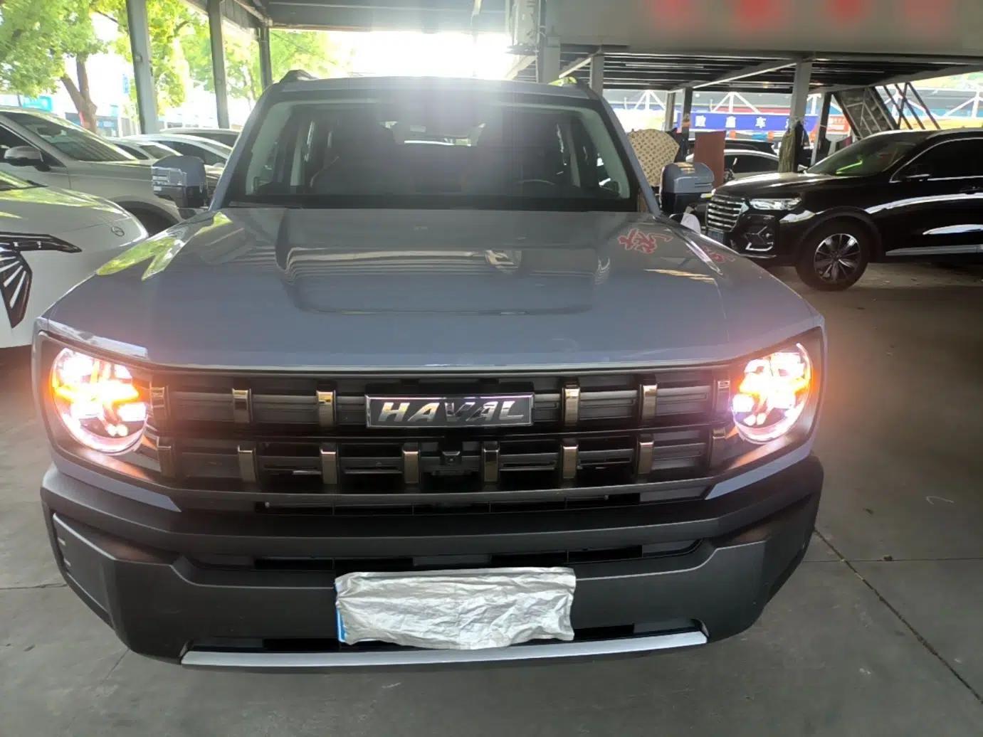 Haval X DOG 2022 1.5T DCT Two-Wheel Drive Trendy Edition — миниатюра 2