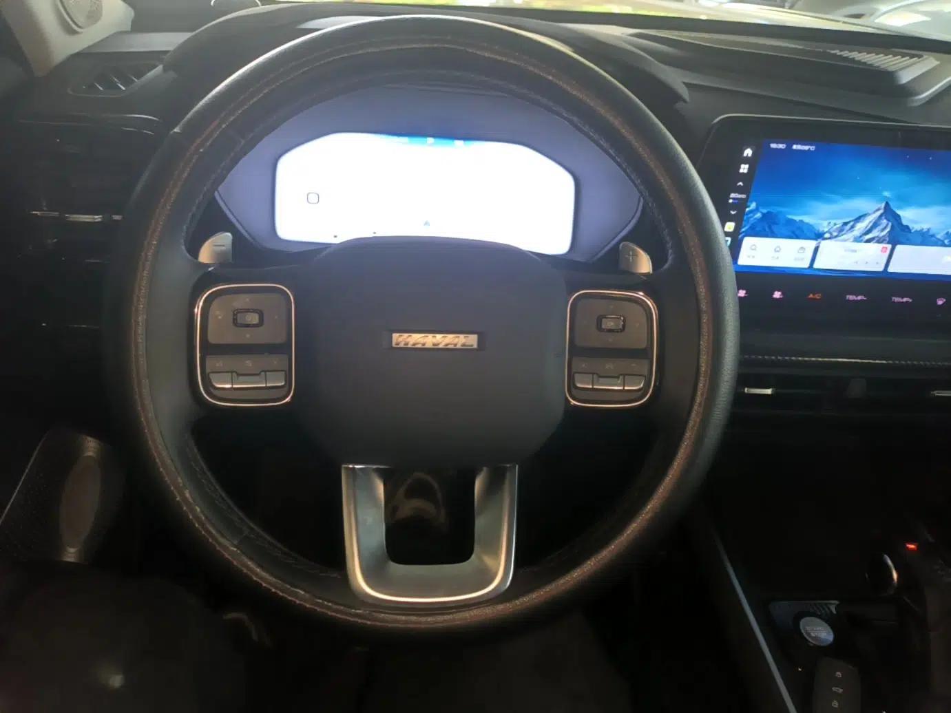 Haval X DOG 2022 1.5T DCT Two-Wheel Drive Trendy Edition — миниатюра 14