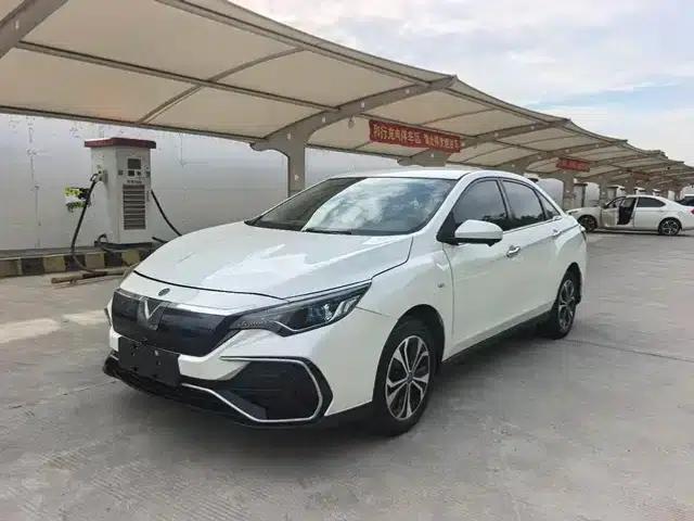 Venucia D60EV 2020 Standard Range Smart Edition
