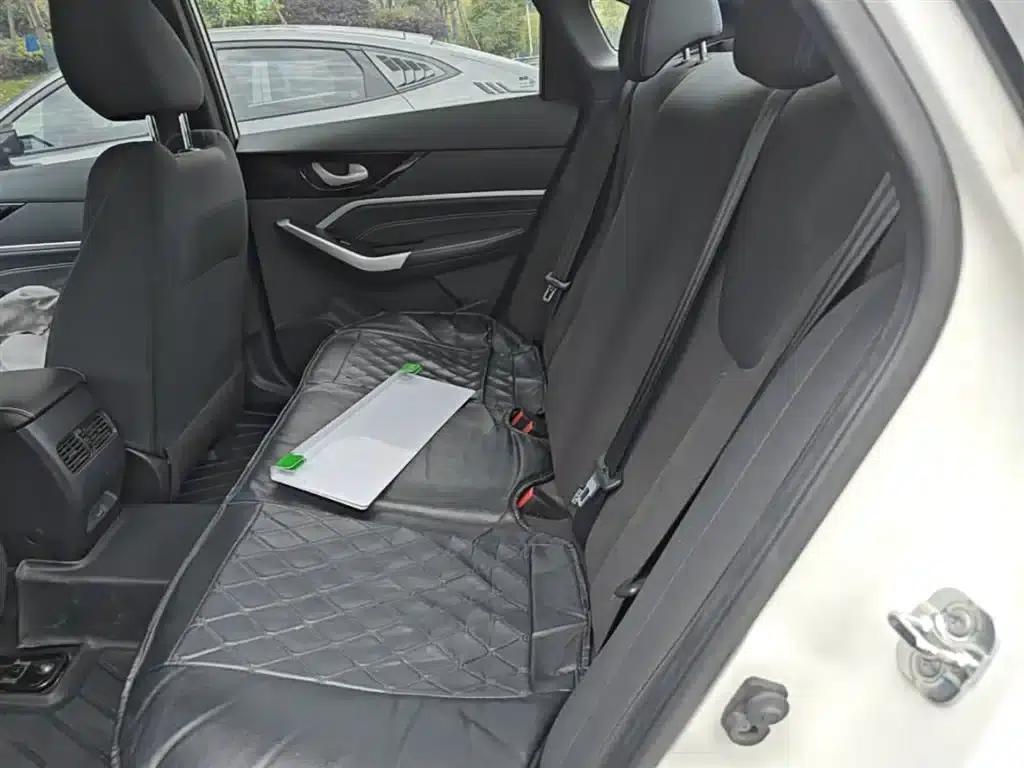 Venucia D60EV 2023 PLUS Comfort Edition SI — миниатюра 17
