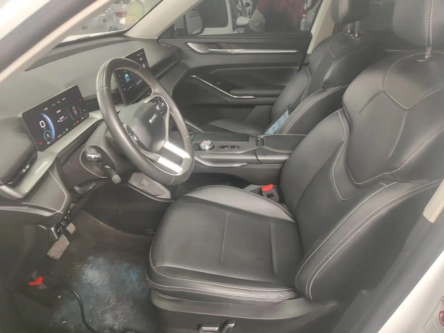 Haval H6 New Energy 2023 DHT-PHEV 110KM Enjoyment Edition — миниатюра 18