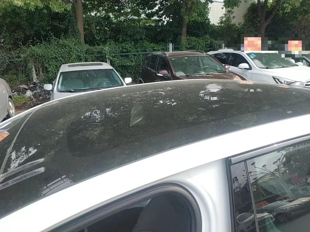 Hongqi EH7 2025 600 Smart Selection Edition — миниатюра 11