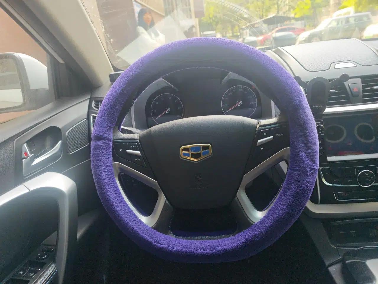 Geely Auto Emgrand New Energy 2016 EV Elite Model — миниатюра 11