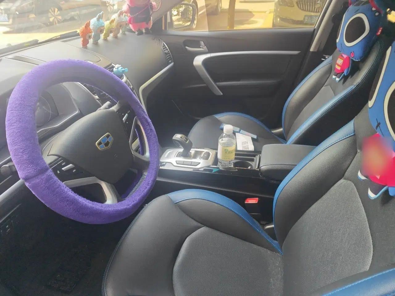 Geely Auto Emgrand New Energy 2016 EV Elite Model — миниатюра 16