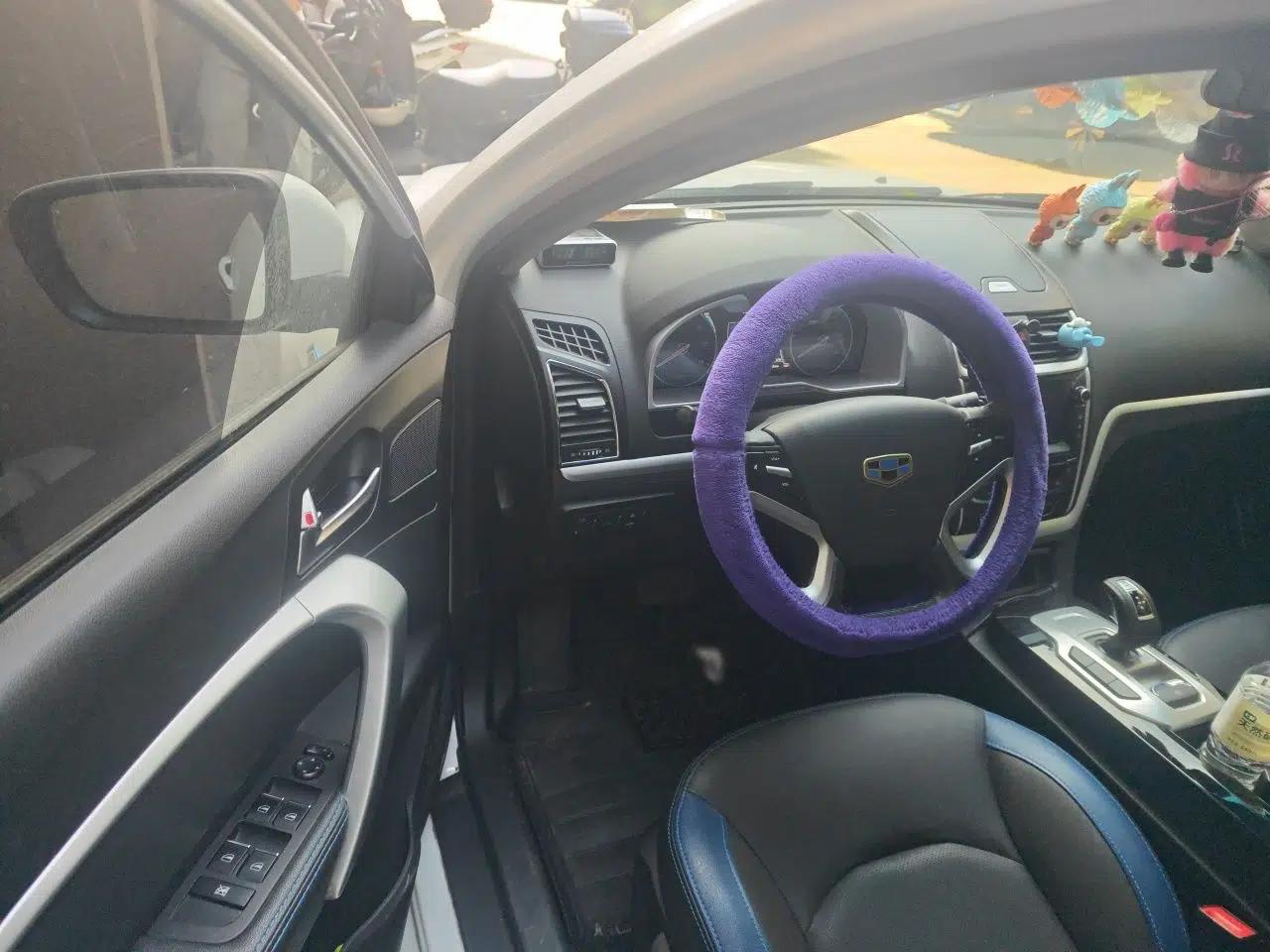 Geely Auto Emgrand New Energy 2016 EV Elite Model — миниатюра 17