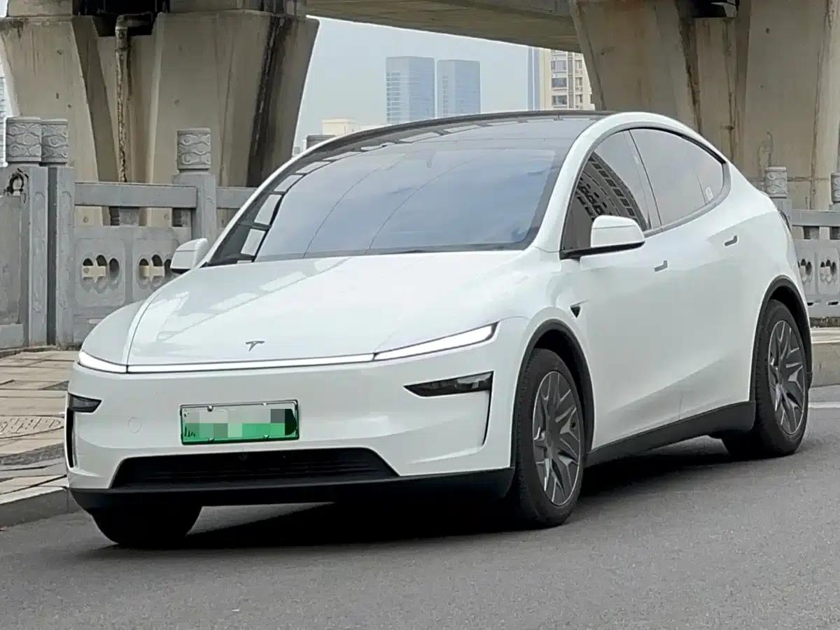 Model Y L 2025 Long Range All-Wheel Drive — миниатюра 1