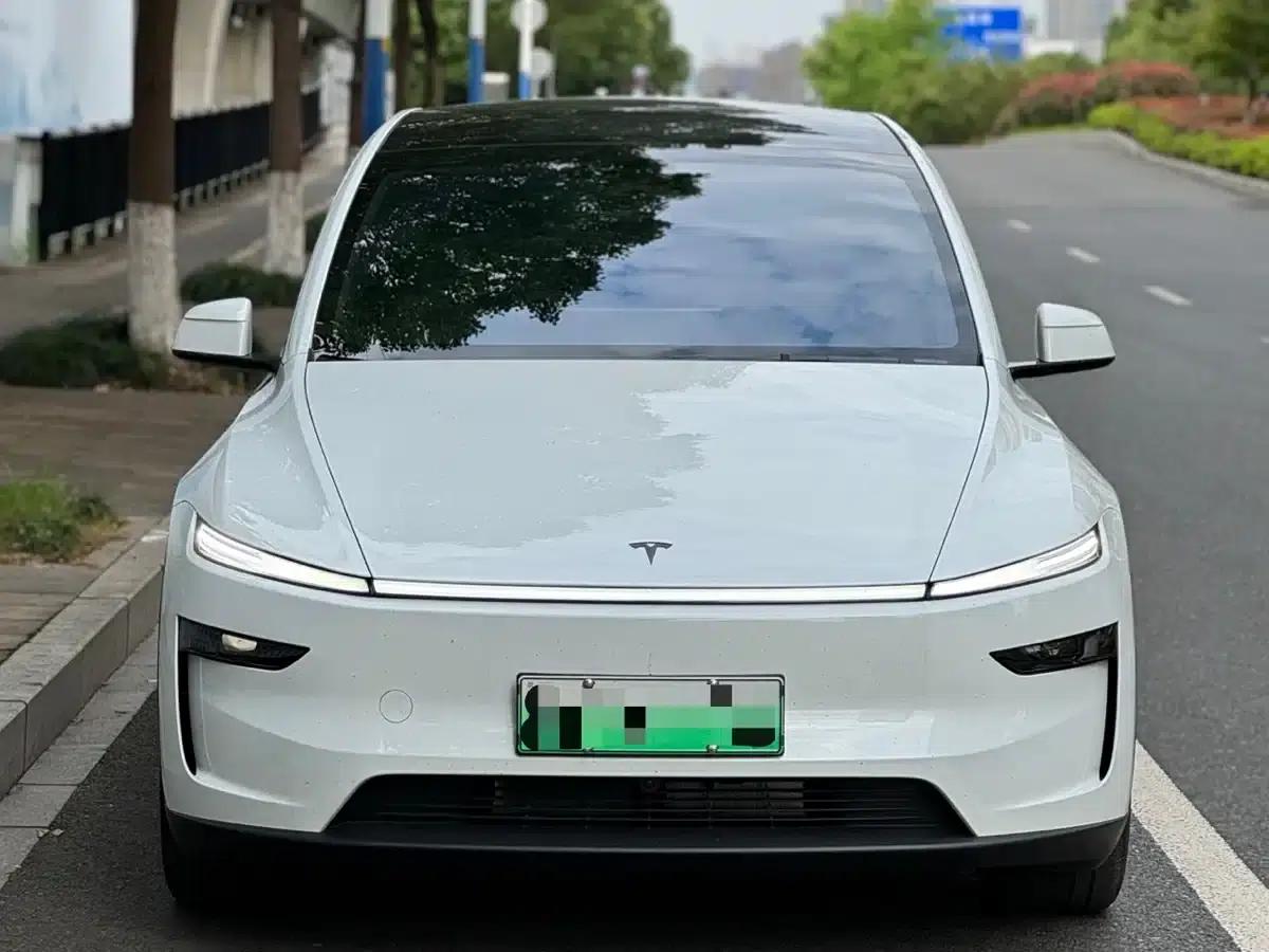 Model Y L 2025 Long Range All-Wheel Drive — миниатюра 2