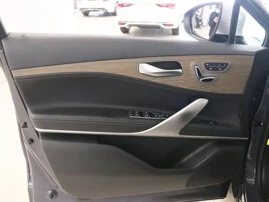 Denza X 2020 PHEV Flagship Edition — миниатюра 11