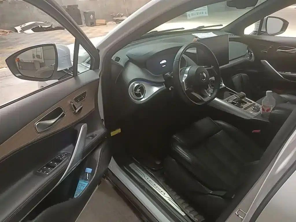 Denza X 2020 Pure Electric Classic Edition — миниатюра 16