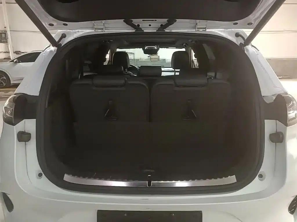 Denza X 2020 Pure Electric Classic Edition — миниатюра 19