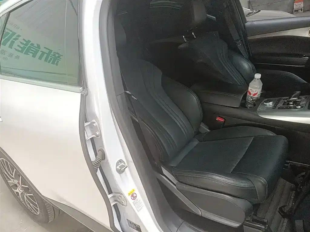 Denza X 2020 Pure Electric Classic Edition — миниатюра 25