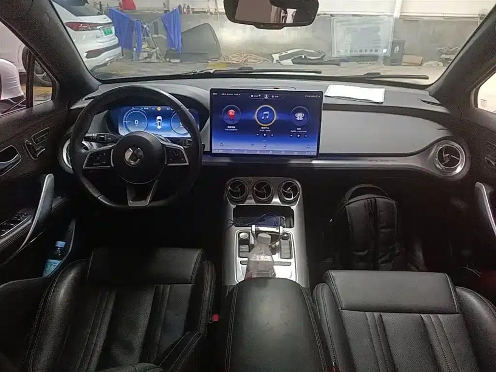 Denza X 2020 Pure Electric Classic Edition — миниатюра 10