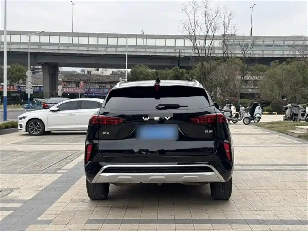 Wei brand Mocha 2021 2.0T 2WD Extra Rich Edition — миниатюра 11