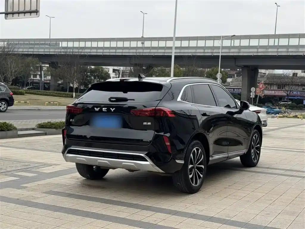 Wei brand Mocha 2021 2.0T 2WD Extra Rich Edition — миниатюра 12