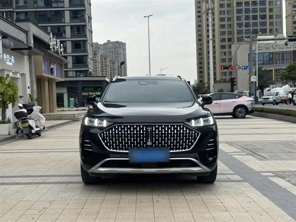 Wei brand Mocha 2021 2.0T 2WD Extra Rich Edition — миниатюра 6