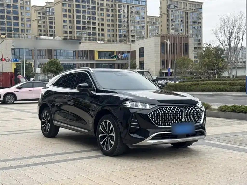Wei brand Mocha 2021 2.0T 2WD Extra Rich Edition — миниатюра 7