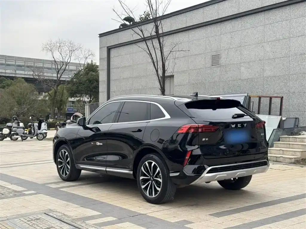 Wei brand Mocha 2021 2.0T 2WD Extra Rich Edition — миниатюра 9